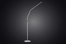 Load image into Gallery viewer, Brushed steel floor lamp against dark background