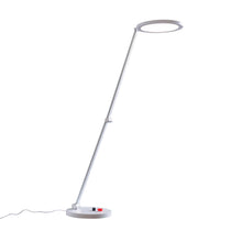 Load image into Gallery viewer, Daylight's Tricolour lamp.